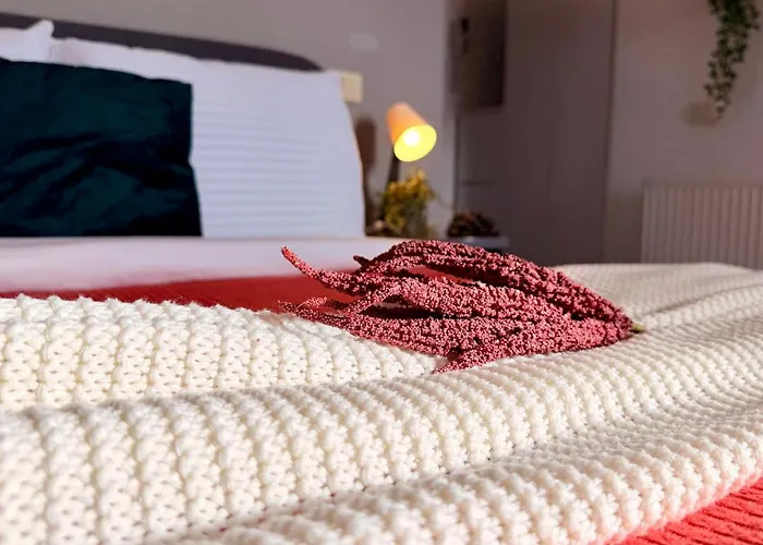 Read About It - Stylish *