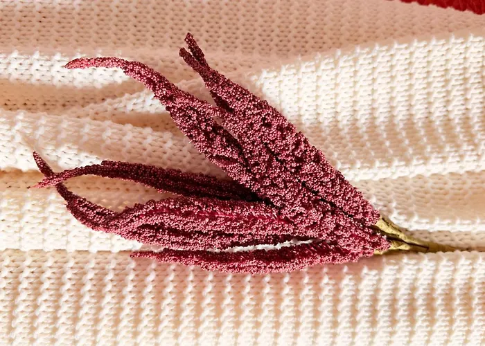 Read About It - Stylish Bucharest