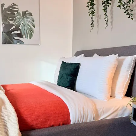 Daire Read About It - Stylish