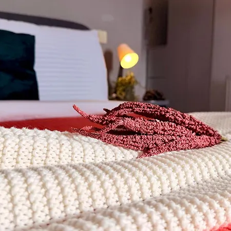 Read About It - Stylish *