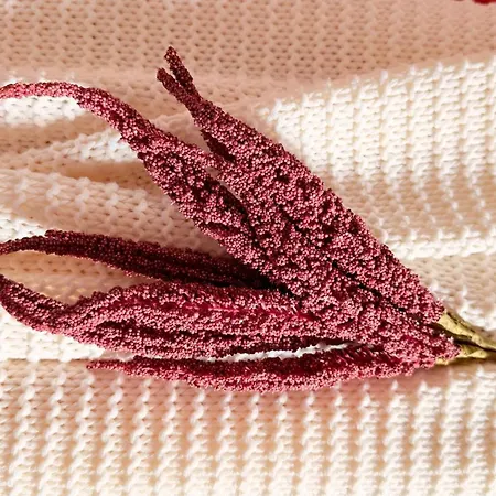 Read About It - Stylish Bucarest