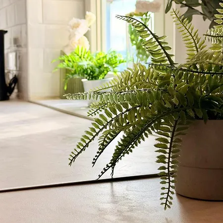 Read About It - Stylish